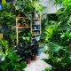 مشاتل للنباتات في كلانج فالي