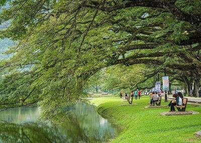 حدائق بحيرة تايبينغ Taiping lake Gardens (21)