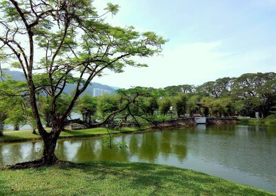 حدائق بحيرة تايبينغ Taiping lake Gardens (3)