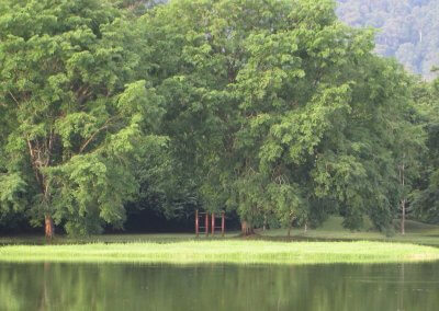 حدائق بحيرة تايبينغ Taiping lake Gardens (5)