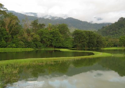 حدائق بحيرة تايبينغ Taiping lake Gardens (8)