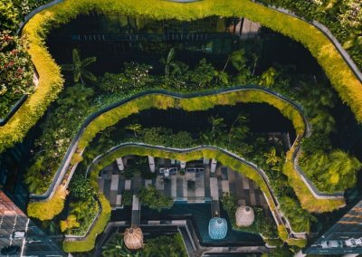 حديقة بابل المعلقة في بارك رويال سنغافورة