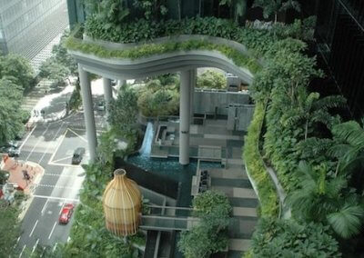 حديقة بابل المعلقة في بارك رويال سنغافورة (4)