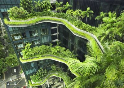 حديقة بابل المعلقة في بارك رويال سنغافورة (5)