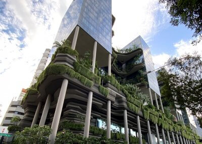 حديقة بابل المعلقة في بارك رويال سنغافورة (7)