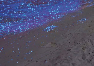 شاطئ الدموع الزرقاء في ميري سراواك (6)