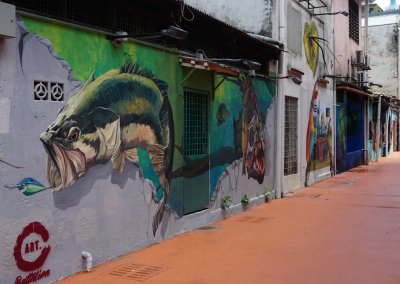 ظاهرة انتشار فن الشارع في ماليزيا (16)