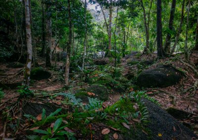 مكان جديد لمحبي التخييم في الغابات (51)