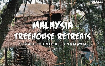 اجمل 10 منازل فوق الاشجار في ماليزيا