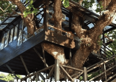 malaysia tree house (3)