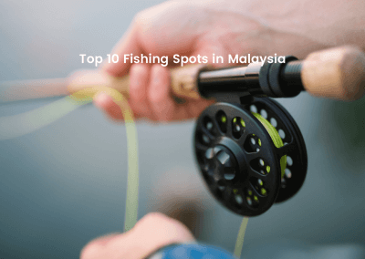 افضل 10 اماكن لصيد الاسماك في ماليزيا (1)