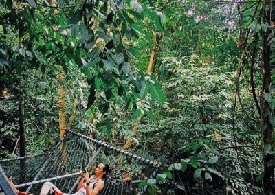 البقاء بين الاشجار في هذه الطبيعة المذهلة في باهانغ (9)