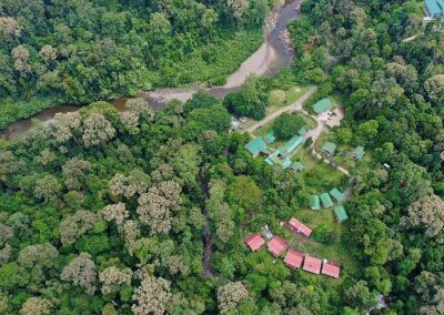 غابات ماليزيا عمرها اكثر من 130 مليون سنة (17)