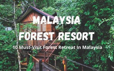 فنادق في غابات ماليزيا