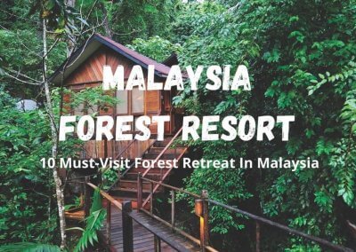 فنادق في غابات ماليزيا (1)