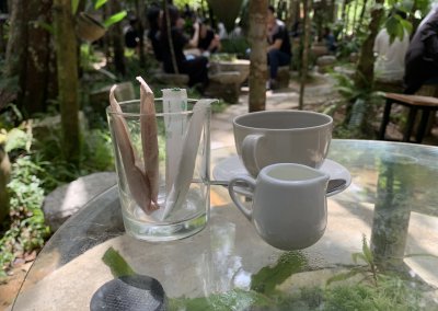 هل جربت تناول القهوة داخل غابة (11)